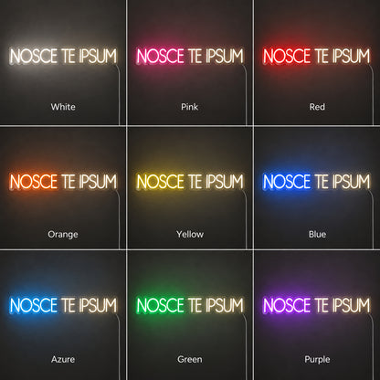 Nosce Te Ipsum Know Thyself Neon Sign Wall Neon Signs - Shineneon