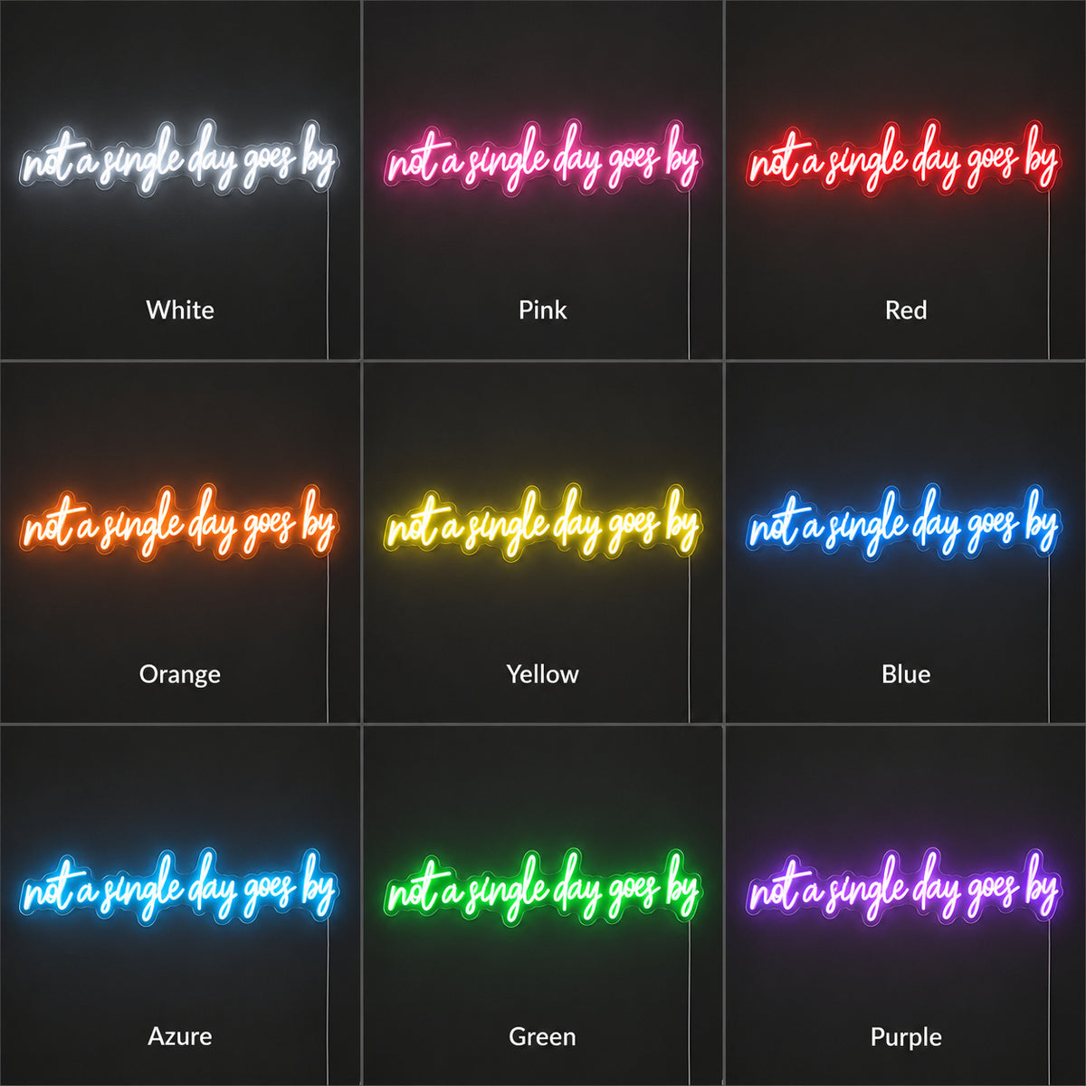 Not a Single Day Goes By LED Neon Sign Dimmable Wall Light - Shineneon