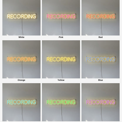 Recording LED Neon Sign - Shineneon