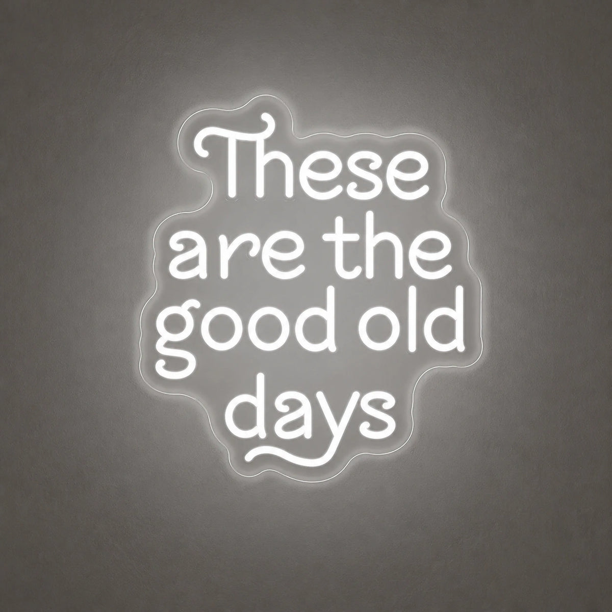 These Are the Good Old Days Block Letters Vintage LED Neon Sign Home Neon Signs - Shineneon