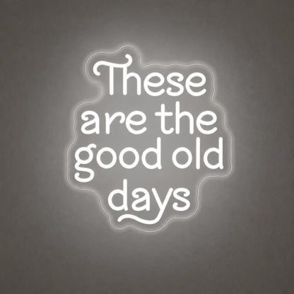 These Are the Good Old Days Block Letters Vintage LED Neon Sign Home Neon Signs - Shineneon