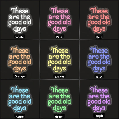 These Are the Good Old Days Block Letters Vintage LED Neon Sign Home Neon Signs - Shineneon