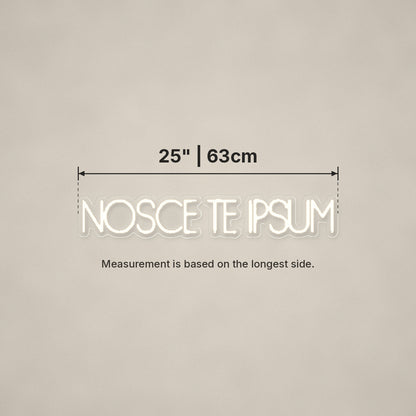 NOSCE TE IPSUM Know Thyself Neon Sign - Shineneon