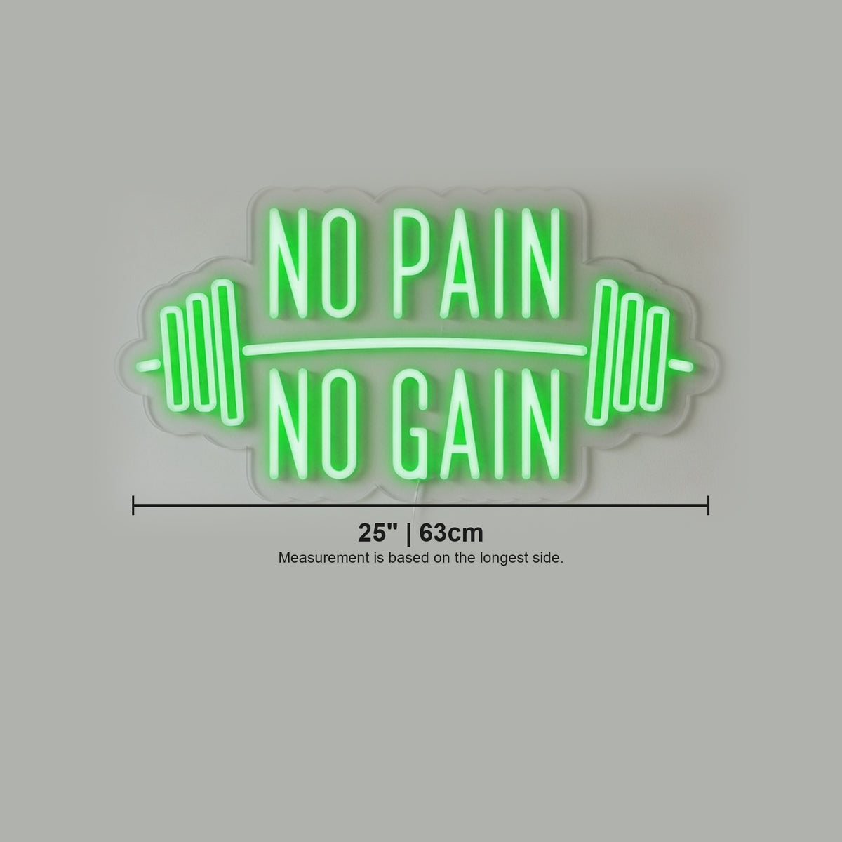 No Pain No Gain LED Neon Sign for Storefront - Shineneon