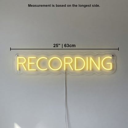 Recording LED Neon Sign - Shineneon