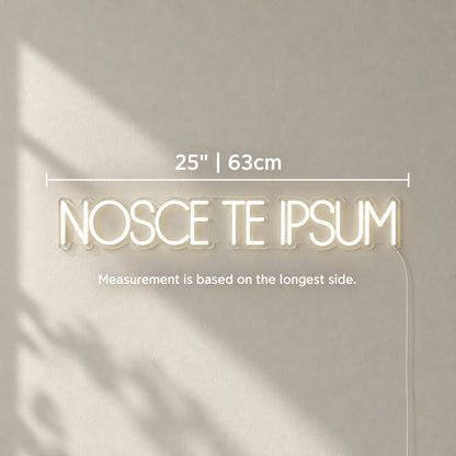 Nosce Te Ipsum Know Thyself Neon Sign Wall Neon Signs - Shineneon