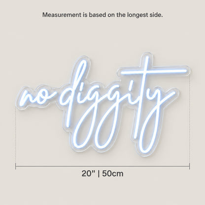 No Diggity LED Neon Sign Dimmable Wall Light - Size Guide