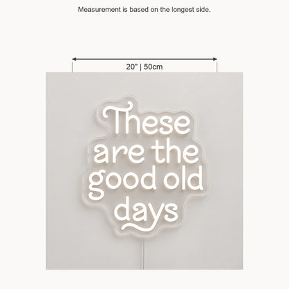 These Are The Good Old Days Block Letters Vintage LED Neon Sign Wall Neon Signs - Size Guide