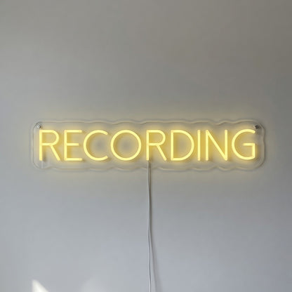 Recording LED Neon Sign - Shineneon