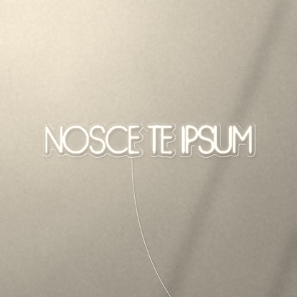 NOSCE TE IPSUM Know Thyself Neon Sign - Shineneon