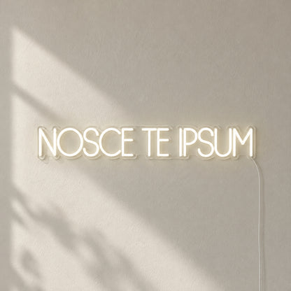 Nosce Te Ipsum Know Thyself Neon Sign Wall Neon Signs - Shineneon