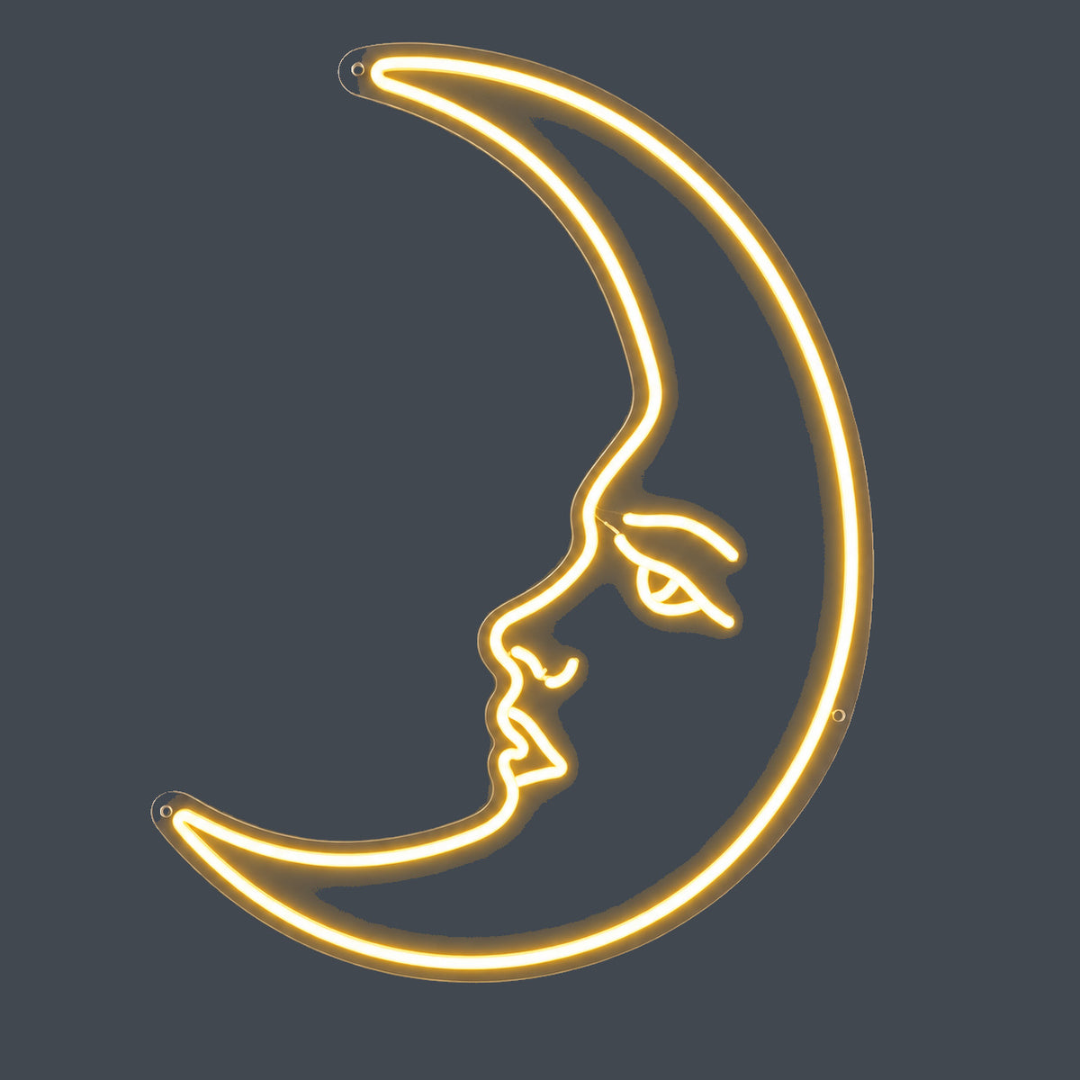 Moon LED Neon Sign Wall Neon Signs - Shineneon