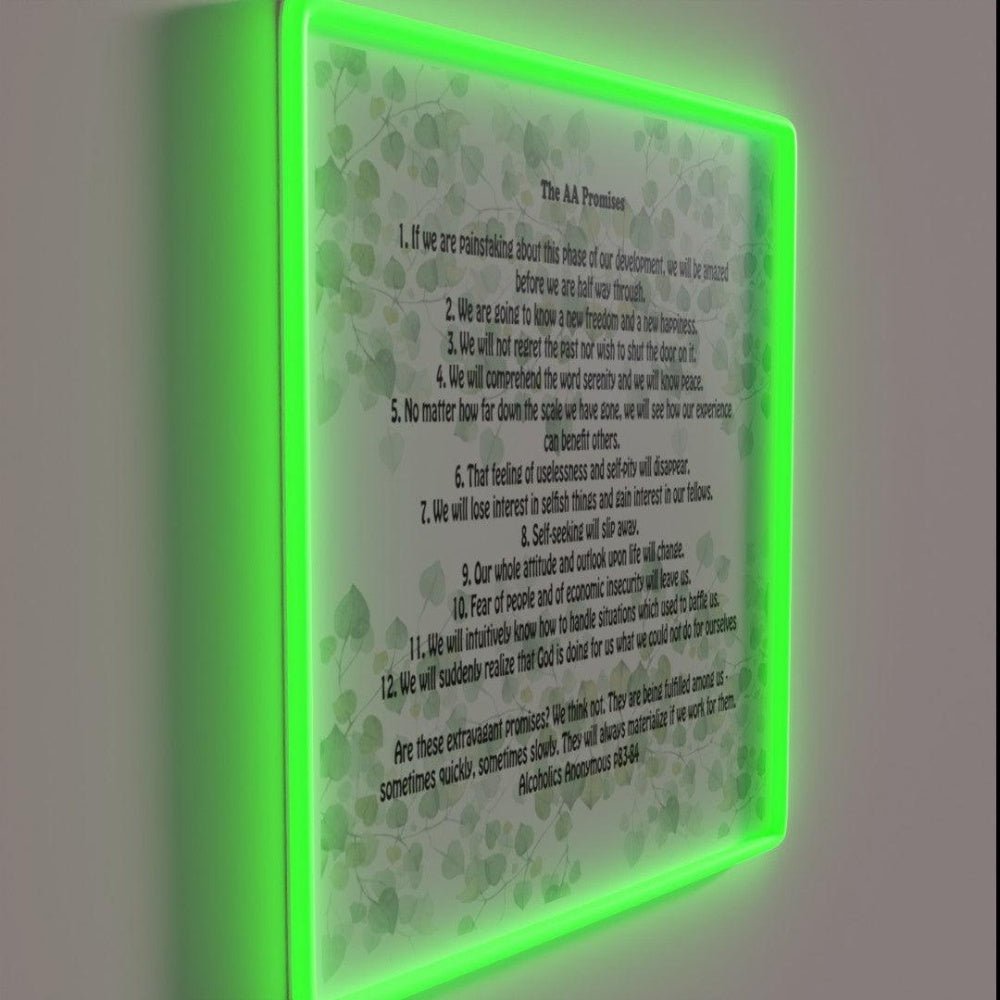 12 Step Promises Aa Big Book Rgb Led Neon Sign - Shineneon