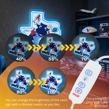 ShineNeon™ Houston Space City Texas Bull LED Neon Sign Multi-Color Sport Cave Vibe USB Power