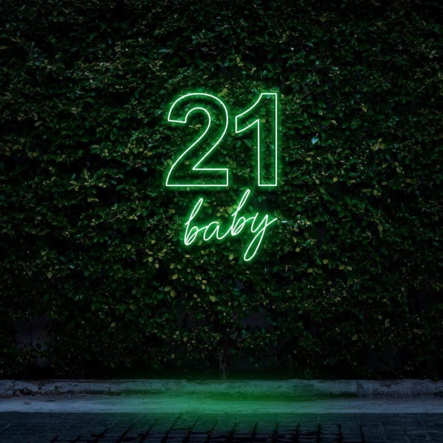 21 Baby Mint Green Led Neon Sign For Outdoor Birthday Celebration | Shineneon