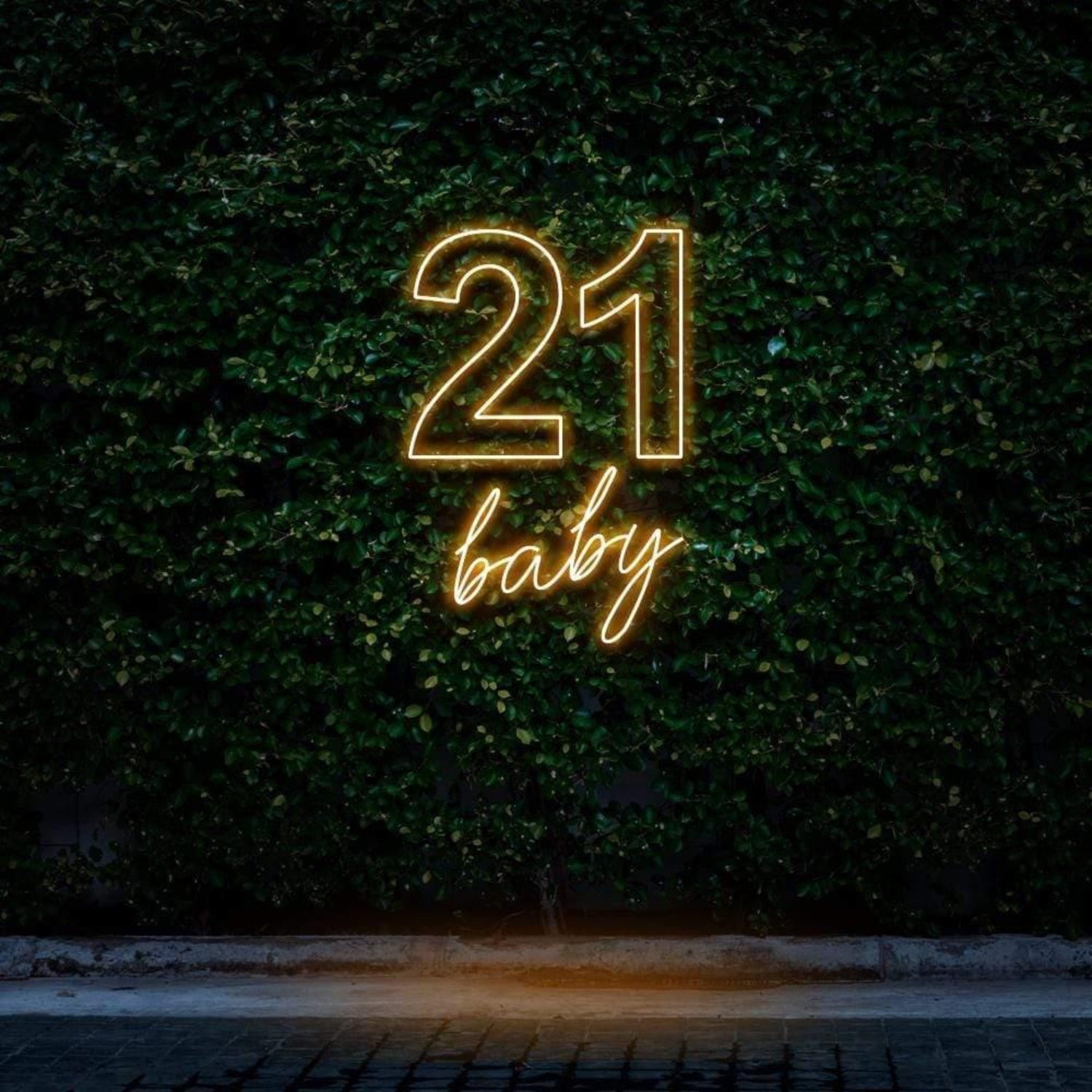 21 Baby Mint Green Led Neon Sign For Outdoor Birthday Celebration | Shineneon