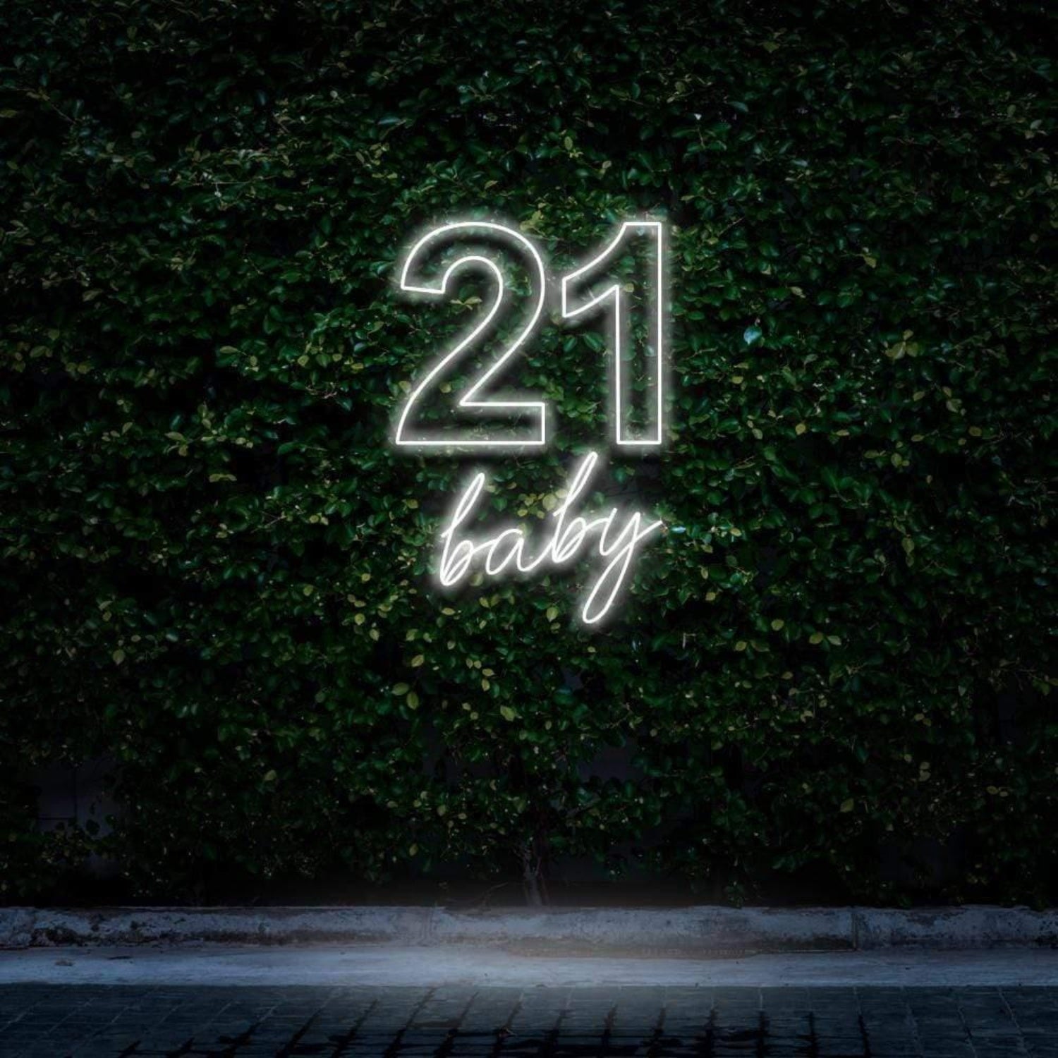 21 Baby Mint Green Led Neon Sign For Outdoor Birthday Celebration | Shineneon