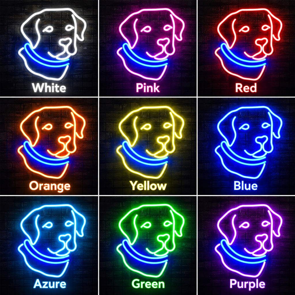 Labrador Retriever Blue Collar LED Neon Sign image 4