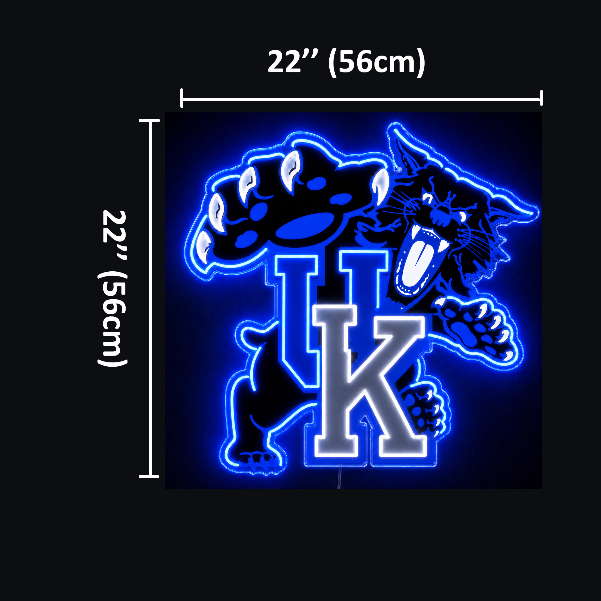 Blue and White UK Custom LED Neon Sign