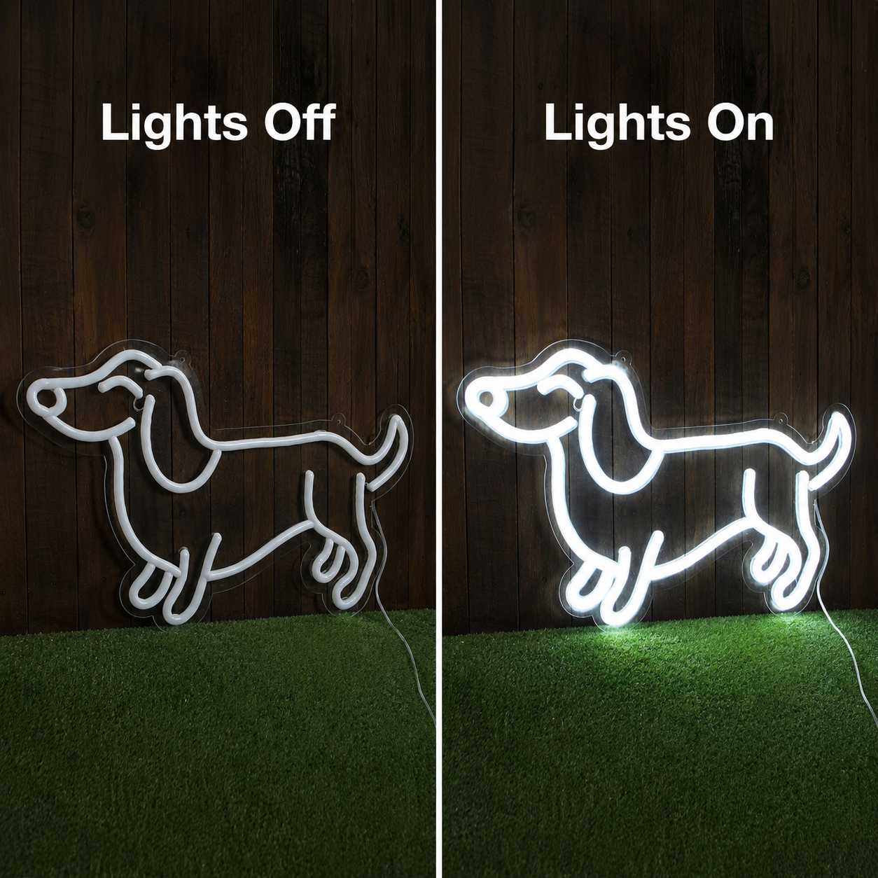 A Dog Shaped LED Neon Sign - 06 Day Night Comparison