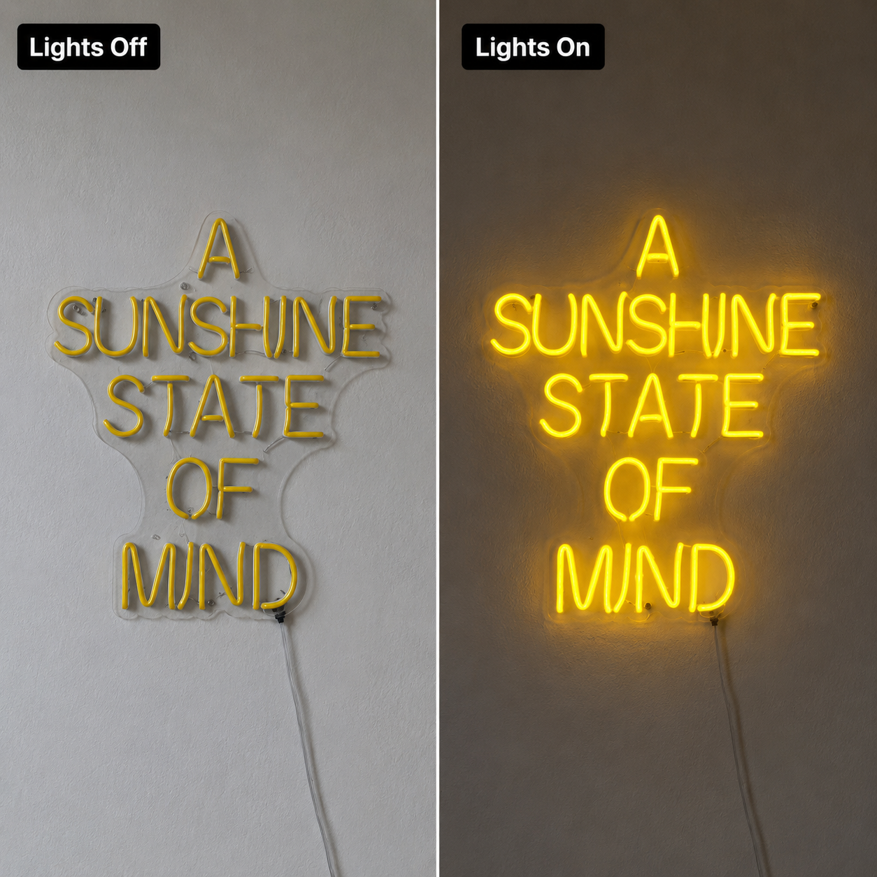 A Sunshine State Of Mind LED Neon Sign - 06 Day Night Comparison
