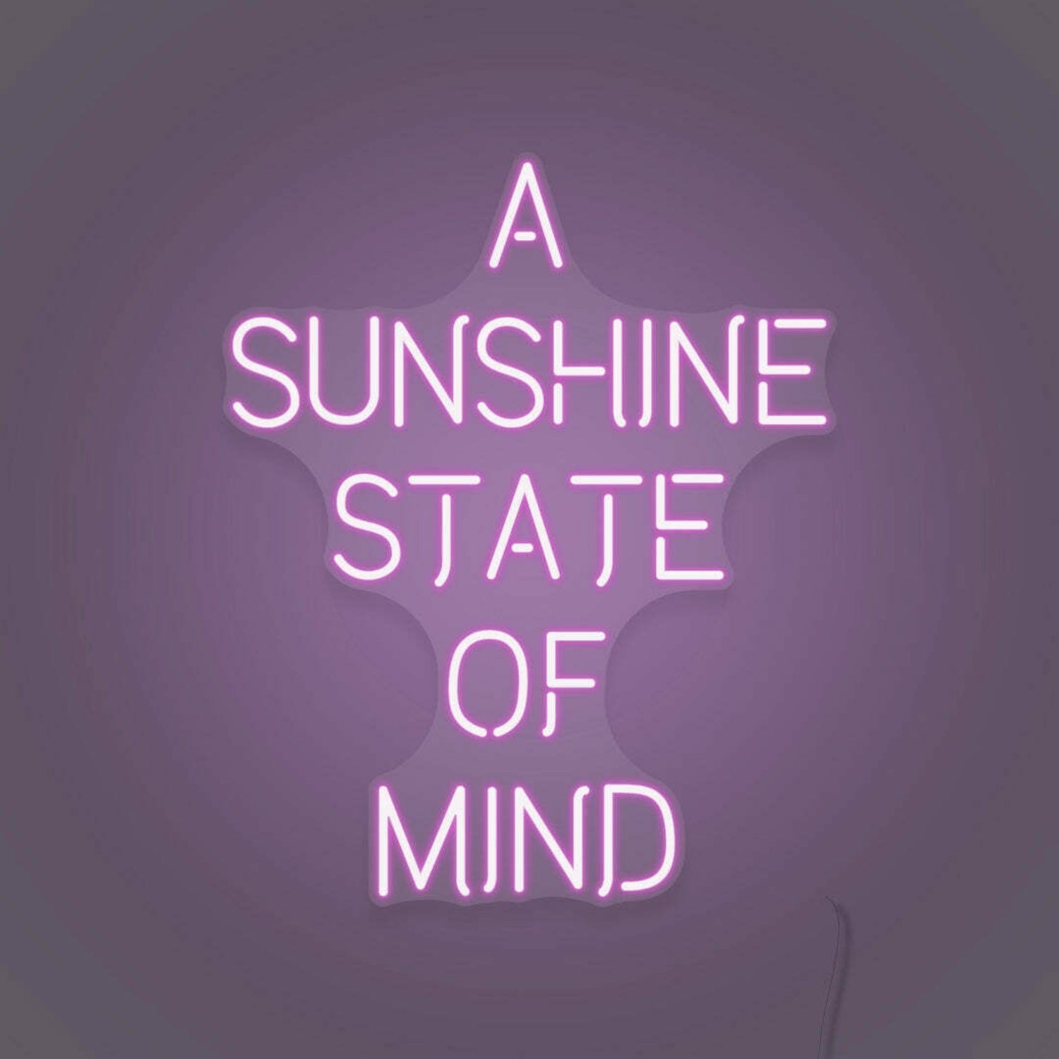 A Sunshine State Of Mind Led Sign | Shineneon
