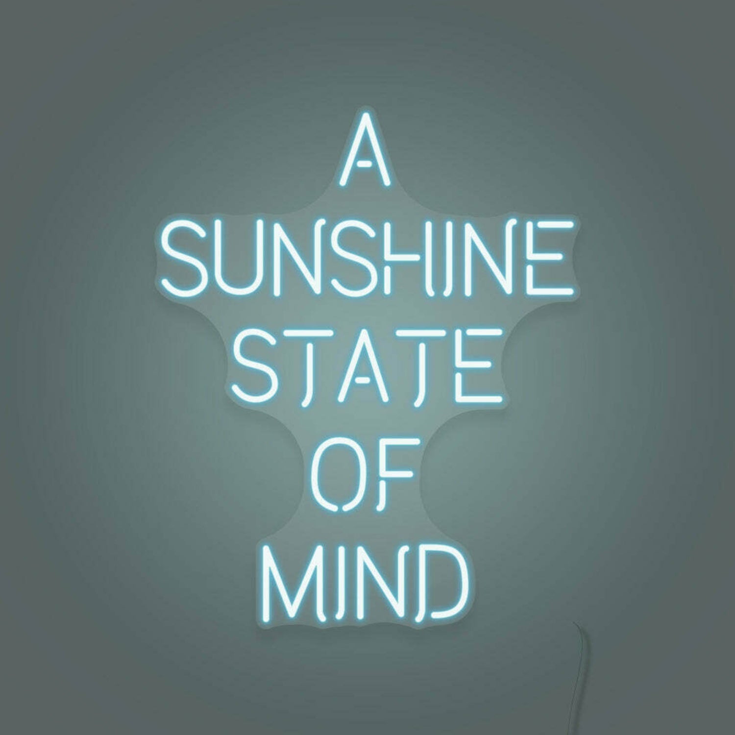 A Sunshine State Of Mind Led Sign | Shineneon