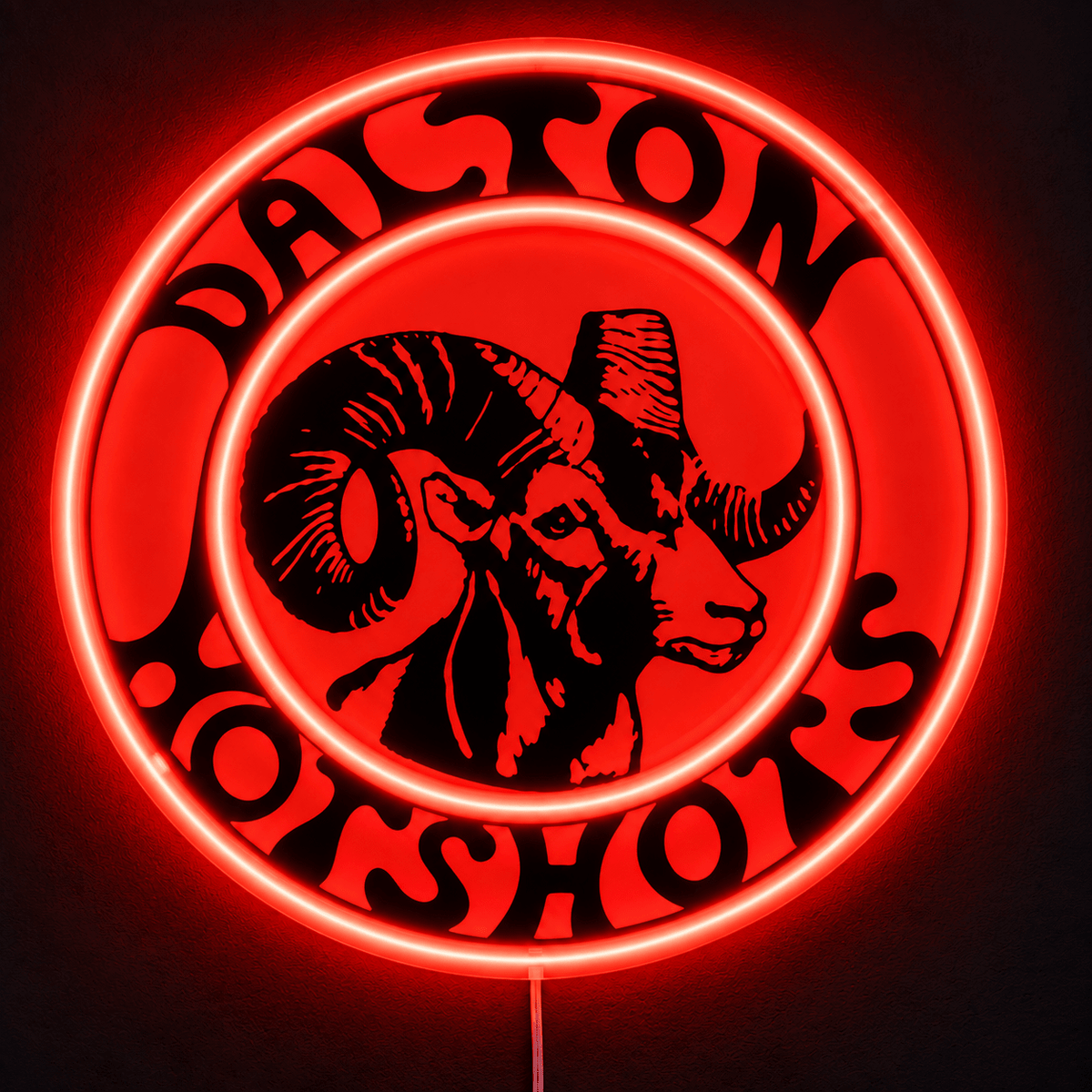 Adam's Two Custom LED Neon Sign - Shineneon