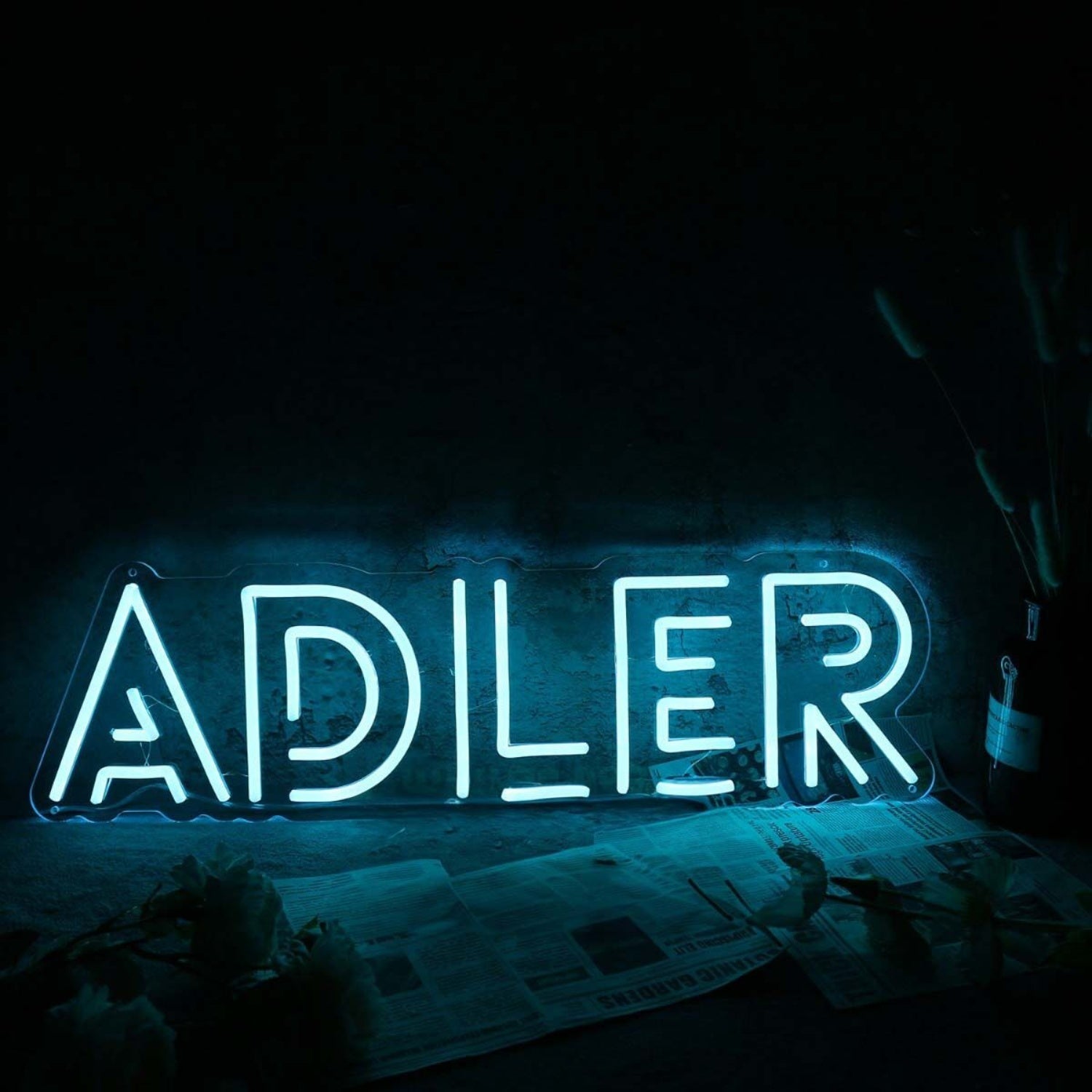 Adler Blue Name Led Neon Sign - Shineneon