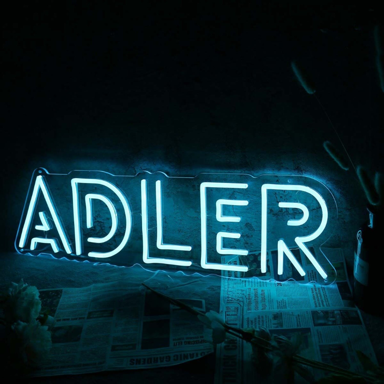 Adler Blue Name Led Neon Sign | Shineneon