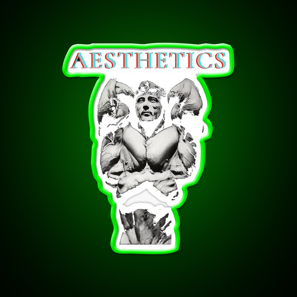 Aesthetics Frank Zane Gym Motivation Gym Fitness Led Neon Sign Rgb Color