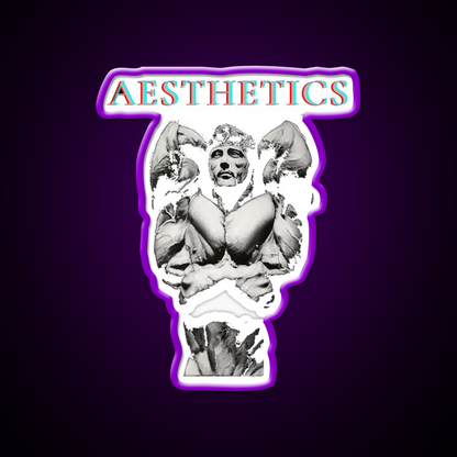 Aesthetics Frank Zane Gym Motivation Gym Fitness Led Neon Sign Rgb Color