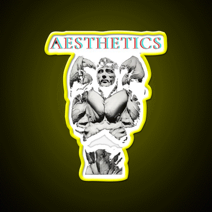 Aesthetics Frank Zane Gym Motivation Gym Fitness Led Neon Sign Rgb Color