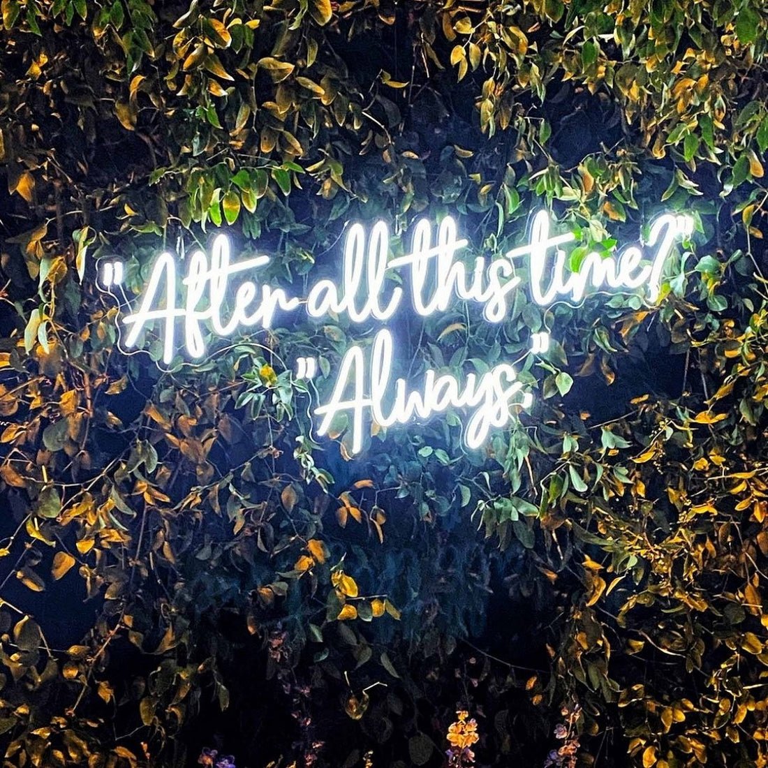 After All This Time Always Led Sign Business Neon Sign - Shineneon