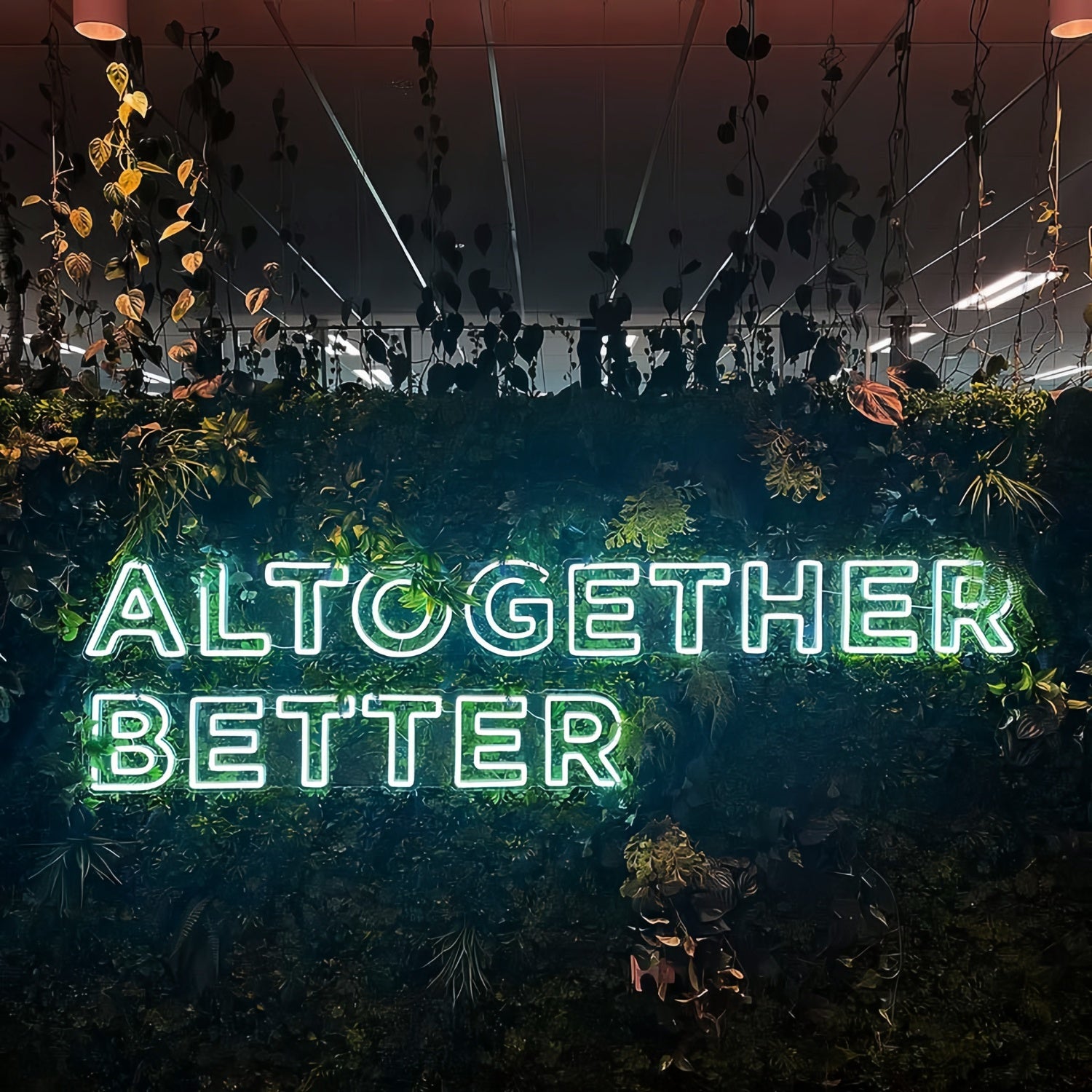 Altogether Better Elevate Your Space With Neon Brilliance | Shineneon