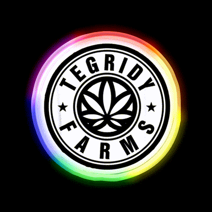 Amazing Offer Tegri Weed Hemp Inspired Green Leaf Led Neon Sign Rgb Color - LED neon sign close-up detail