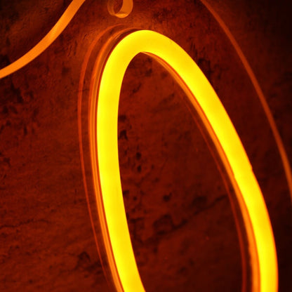 Amigo Orange Led Neon Sign - Shineneon