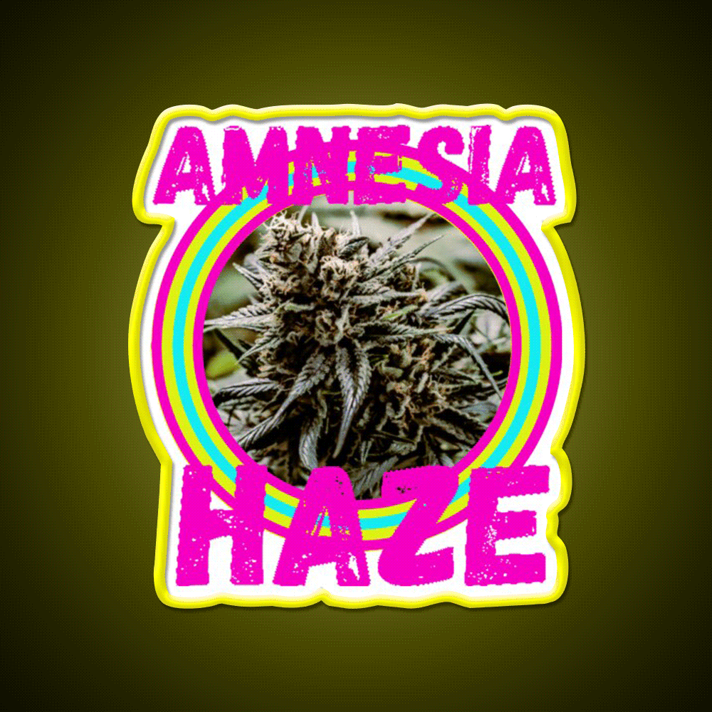 Amnesia Haze Trans 5 Hemp Inspired Green Leaf Led Neon Sign Rgb Color - Custom LED neon sign front view