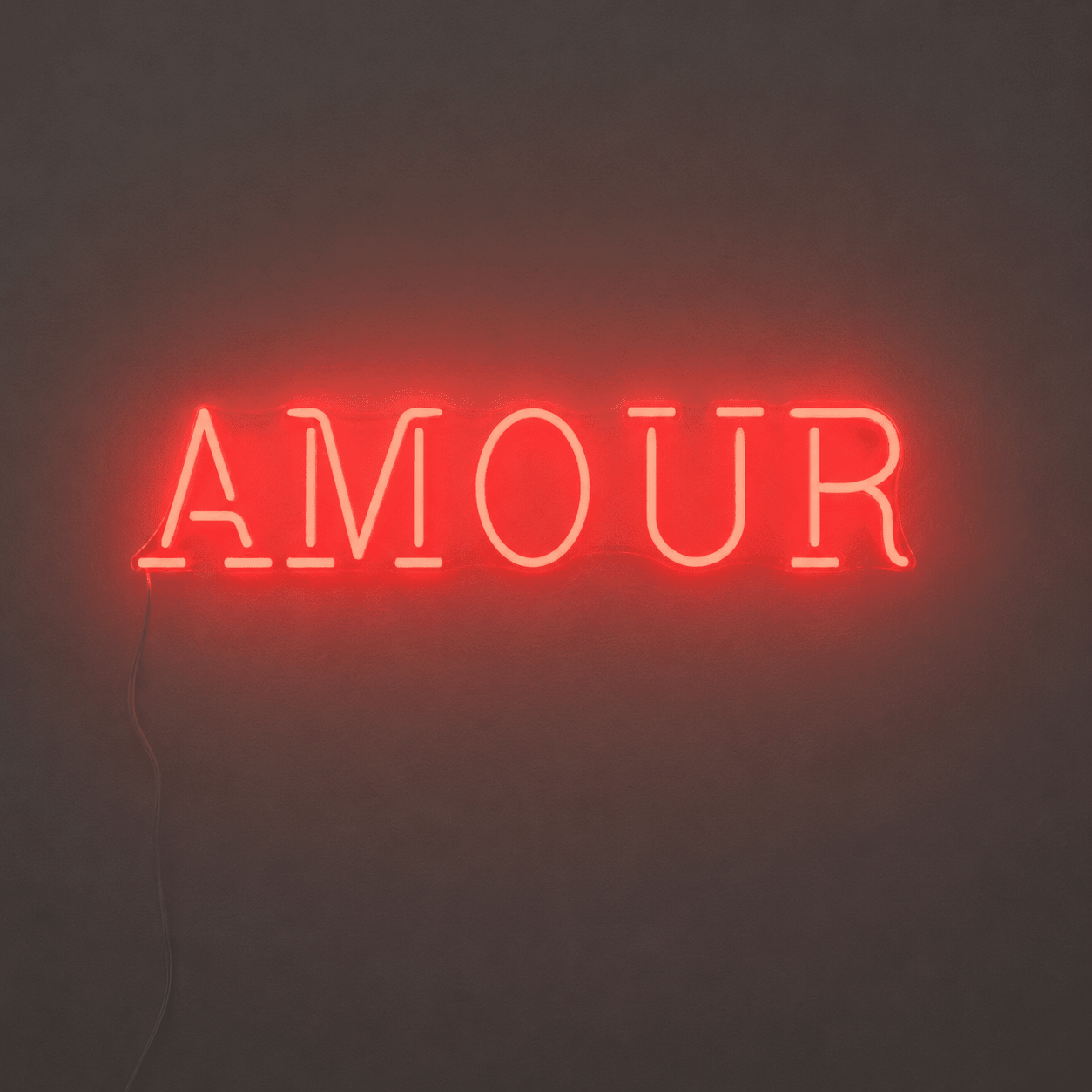 Amour LED Neon Sign Wall Neon Sign - Shineneon