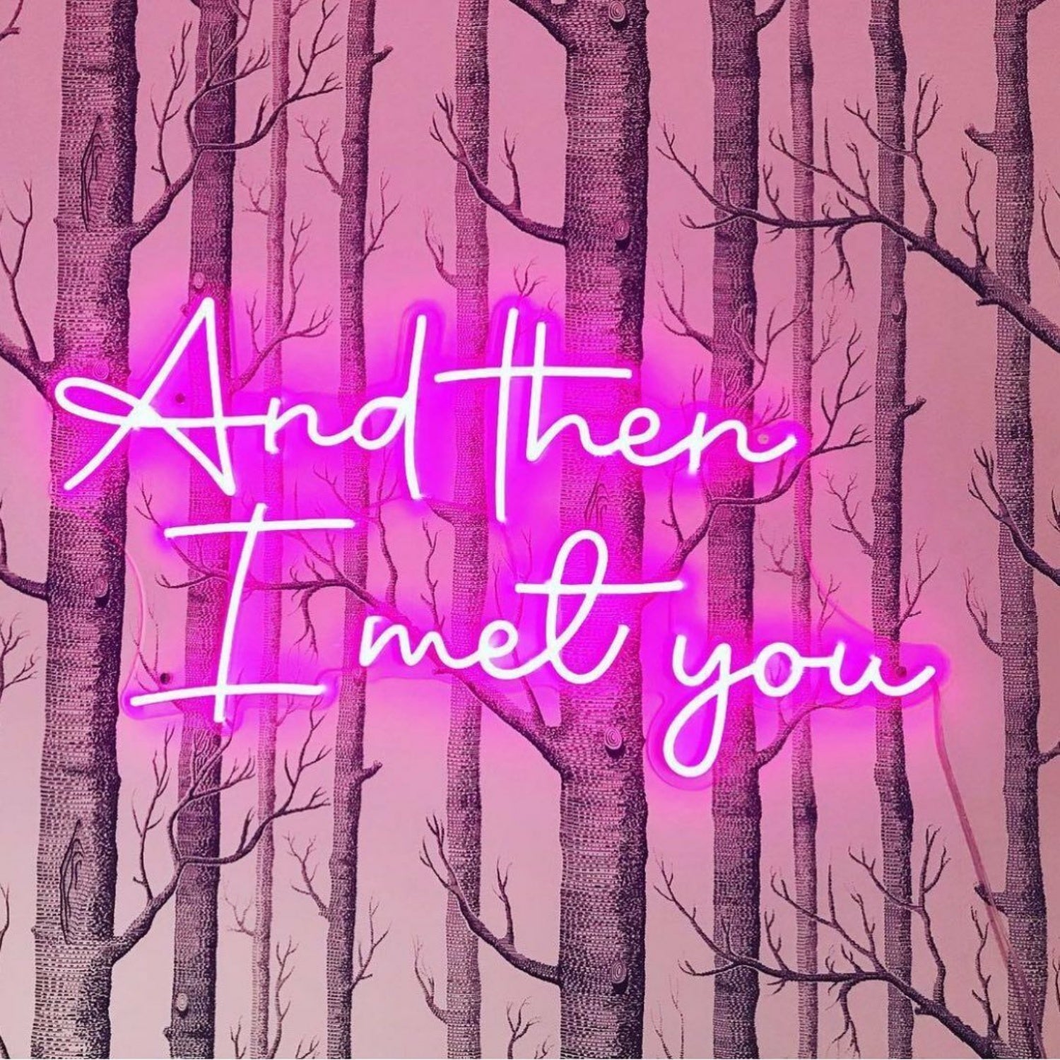 And Then I Met You Neon Sign | Shineneon