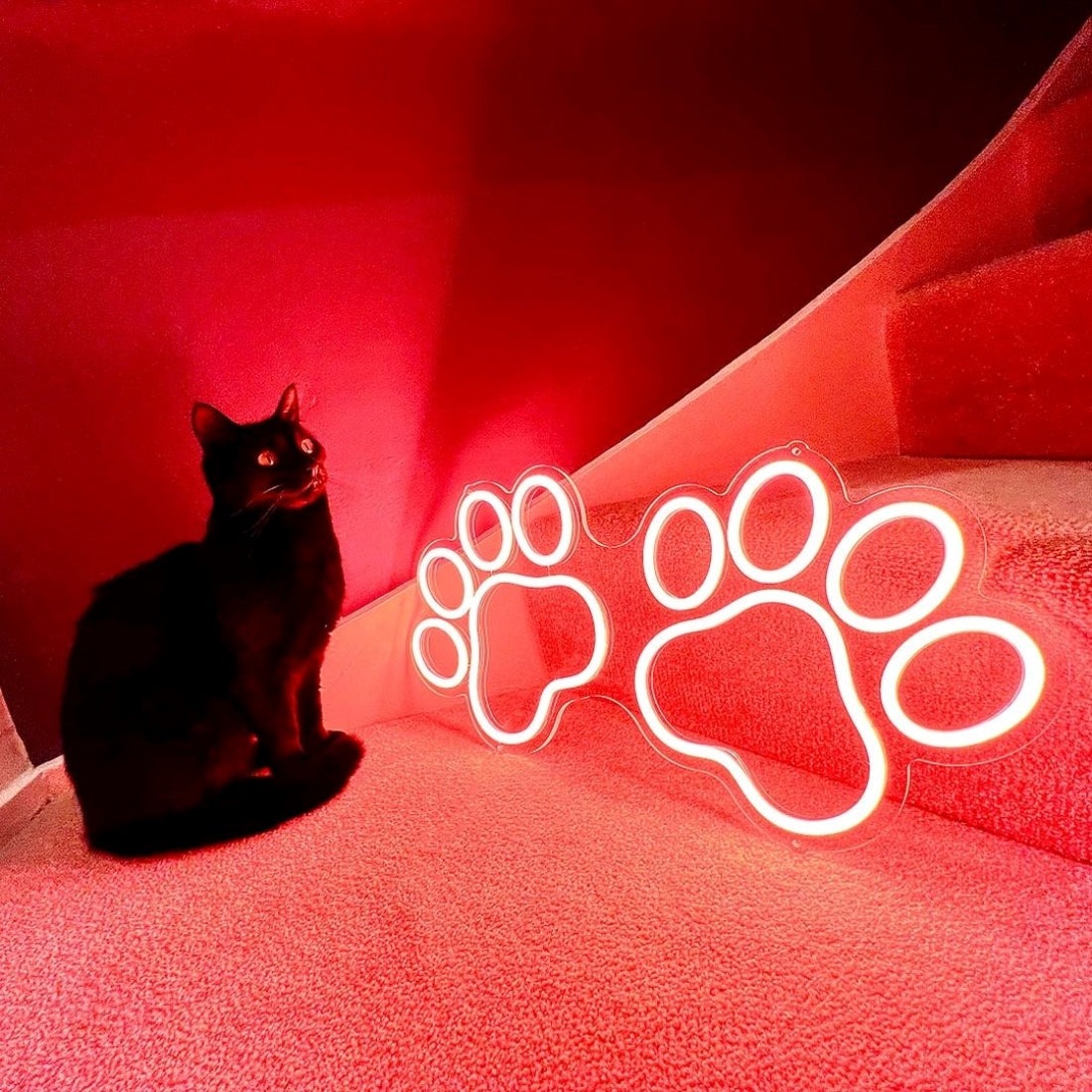 Animal Paws Neon Signs Neon Lights Led Business Sign