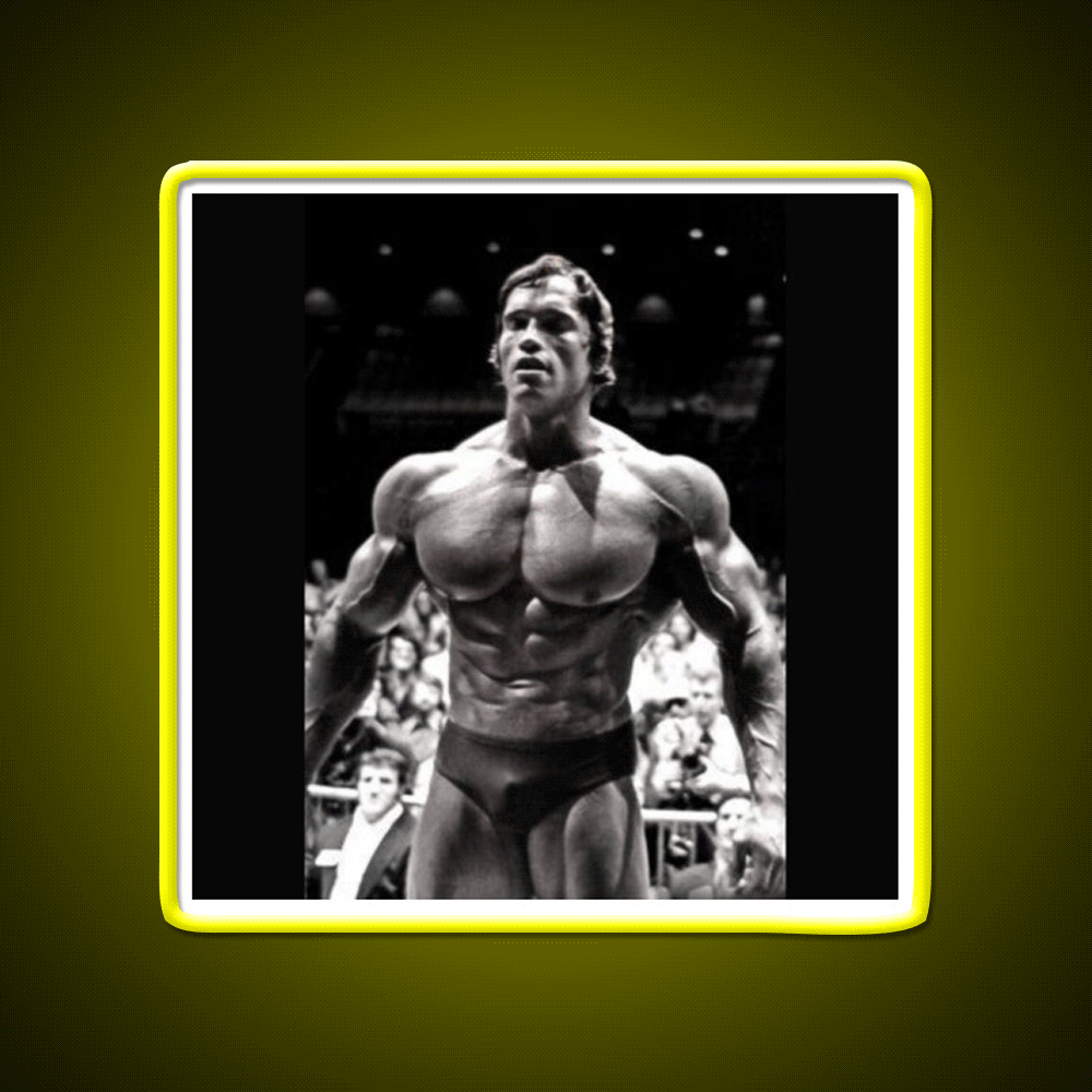 Arnold Schwarzenegger Gym Fitness Led Neon Sign Rgb Color