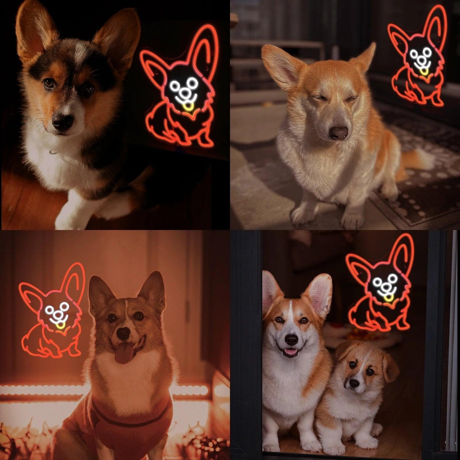 Corgi Dog Red LED Neon Sign Affortable Neon Sign | Shineneon