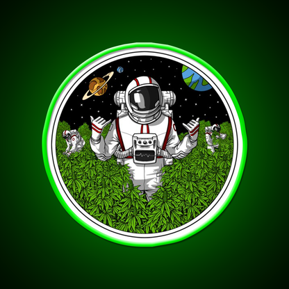 Astronaut Stoner Hemp Inspired Green Leaf Led Neon Sign Rgb Color - LED neon sign view 8
