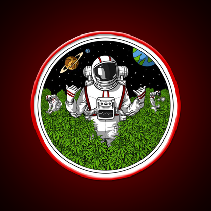Astronaut Stoner Hemp Inspired Green Leaf Led Neon Sign Rgb Color - LED neon sign view 10