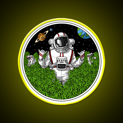 Astronaut Stoner Hemp Inspired Green Leaf Led Neon Sign Rgb Color - LED neon sign view 7