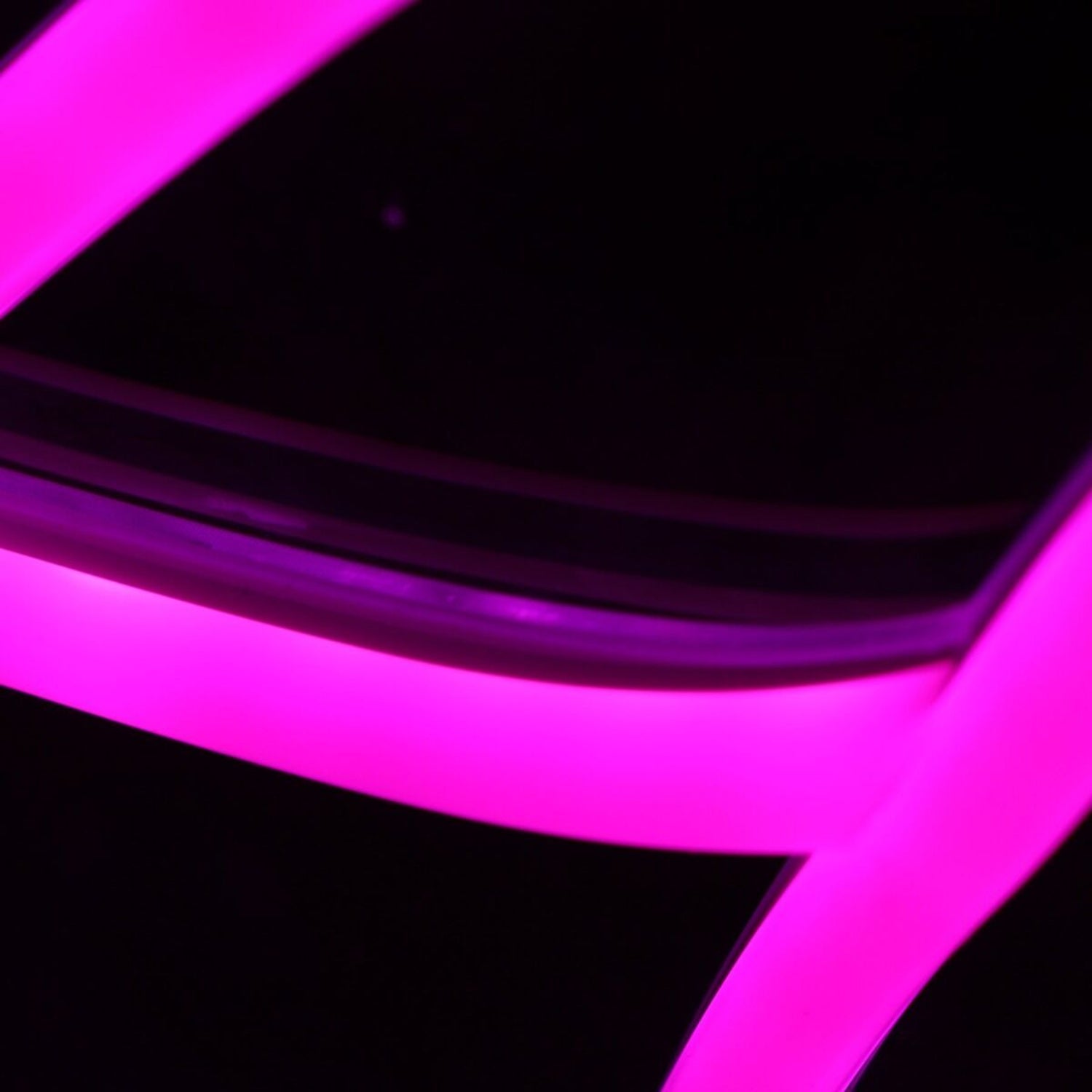 Avery Purple Led Neon Sign - Shineneon