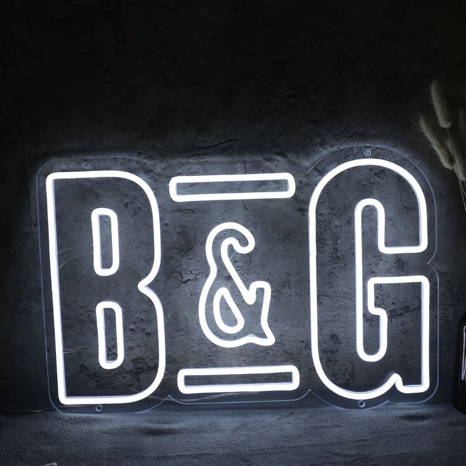 B And G White Neon Sign | Shineneon