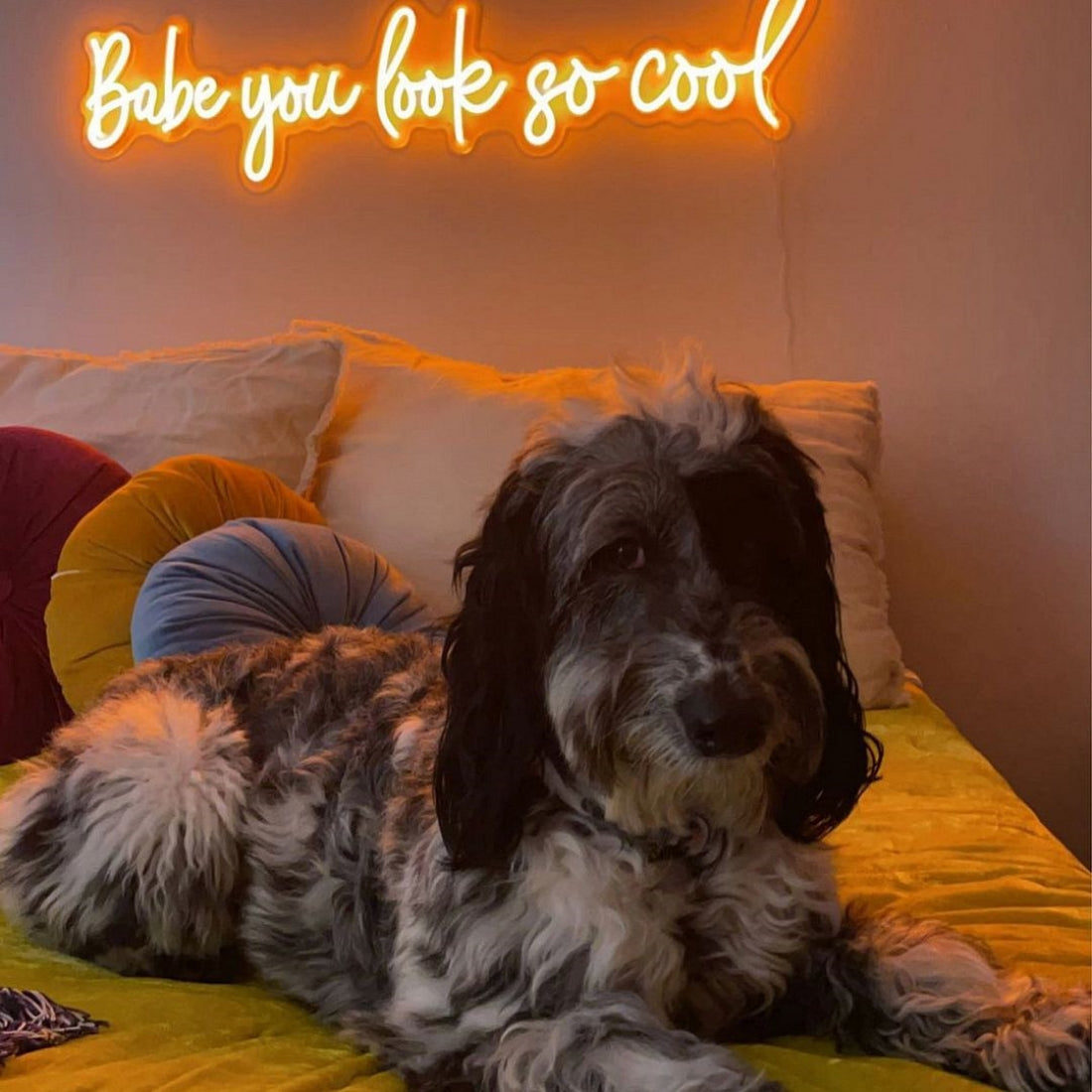 Babe You Look So Cool Led Sign Business Neon Signs Wall Art Decor