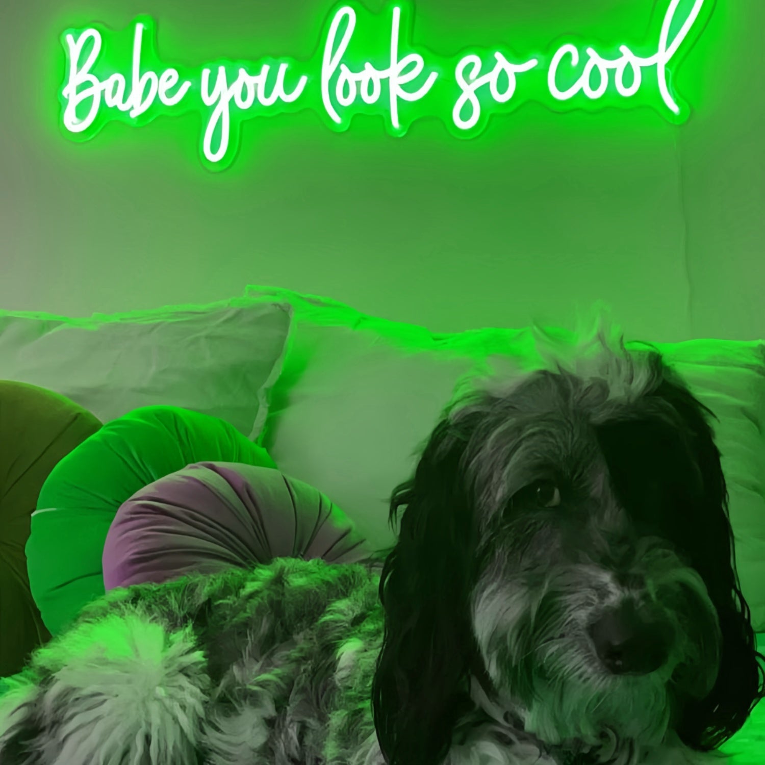 Babe Youre Absolutely Cool Neon Sign | Shineneon